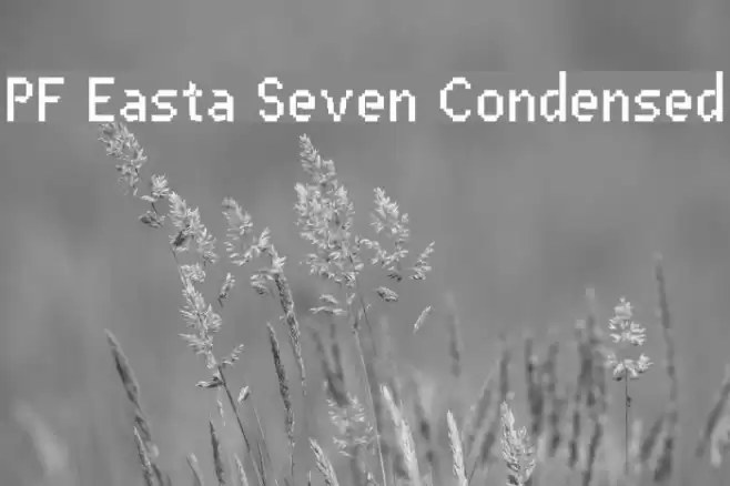 PF Easta Seven Condensed Caratteri examples