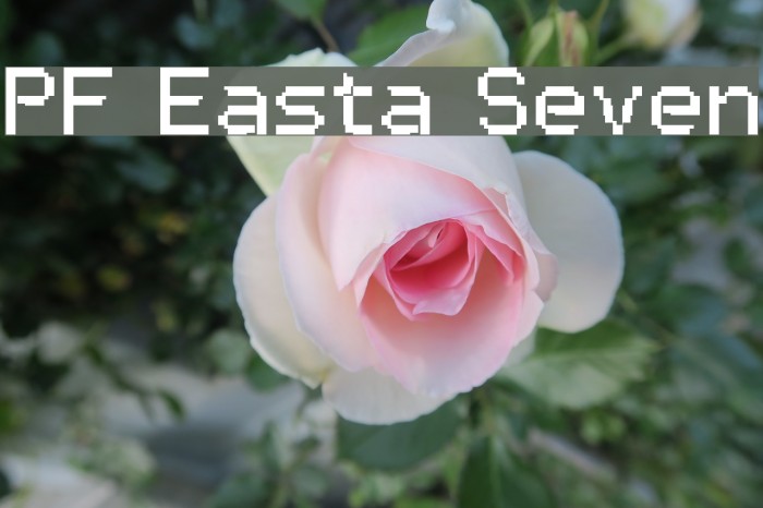 PF Easta Seven Font examples