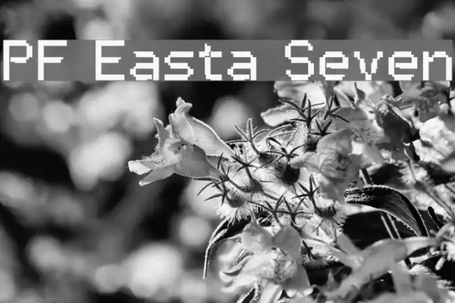 PF Easta Seven Schriftart examples