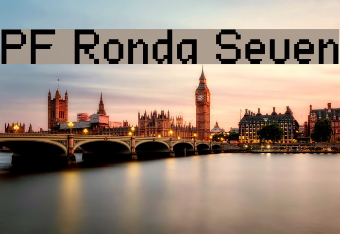 PF Ronda Seven Font examples
