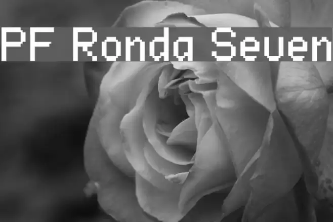 PF Ronda Seven Font examples