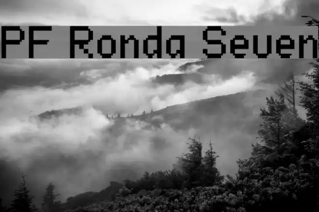 PF Ronda Seven Font examples