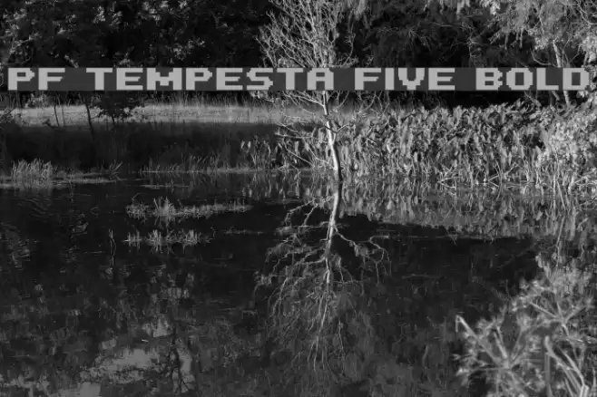PF Tempesta Five Bold Caratteri examples