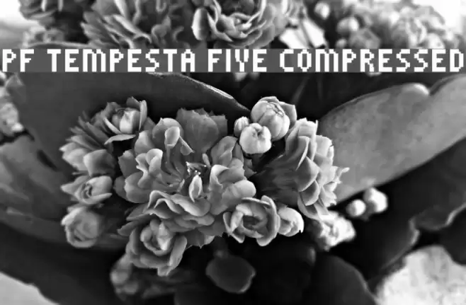 PF Tempesta Five Compressed Caratteri examples