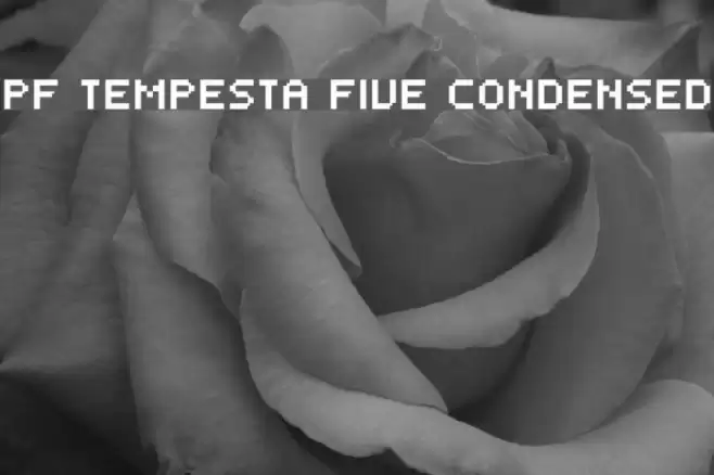 PF Tempesta Five Condensed Fonte examples