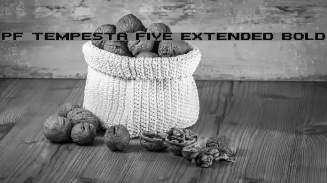 PF Tempesta Five Extended Bold Шрифта examples
