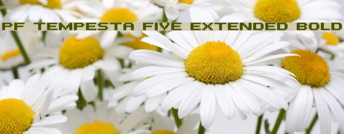 PF Tempesta Five Extended Bold Schriftart examples