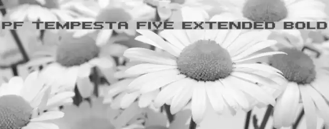 PF Tempesta Five Extended Bold Шрифта examples