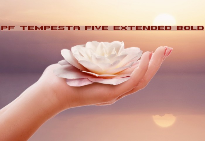 PF Tempesta Five Extended Bold Schriftart examples
