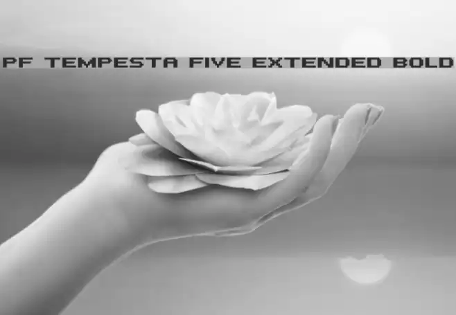 PF Tempesta Five Extended Bold Шрифта examples