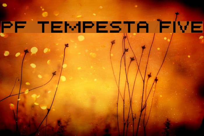 PF Tempesta Five Font examples