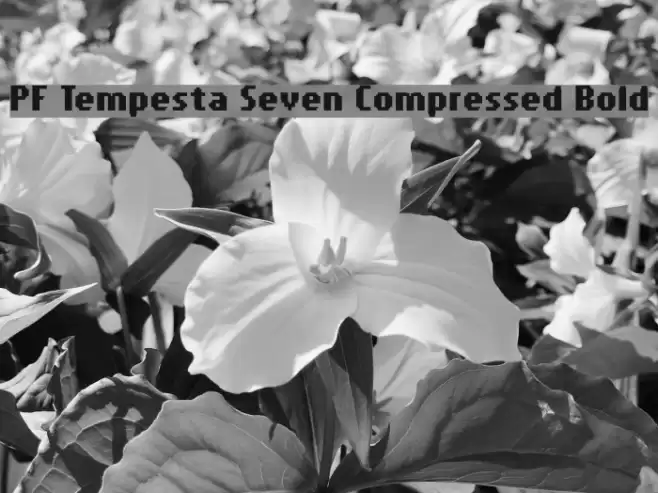PF Tempesta Seven Compressed Bold Font examples