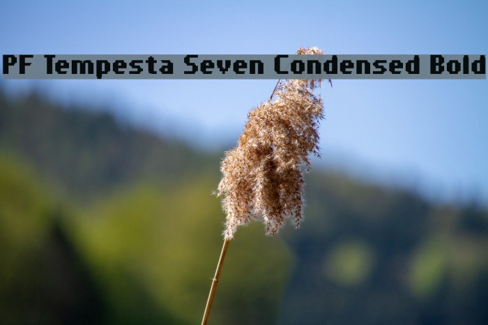 PF Tempesta Seven Condensed Bold Fonte examples