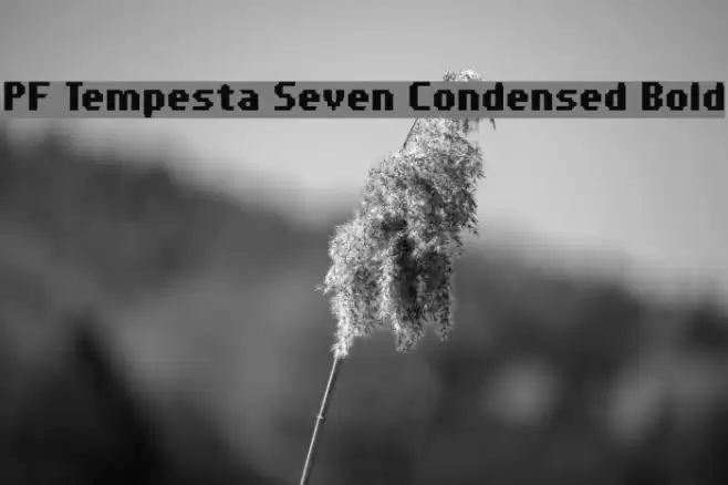 PF Tempesta Seven Condensed Bold Fonte examples