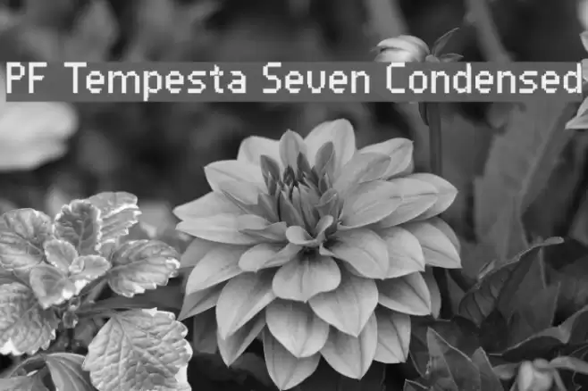 PF Tempesta Seven Condensed Шрифта examples