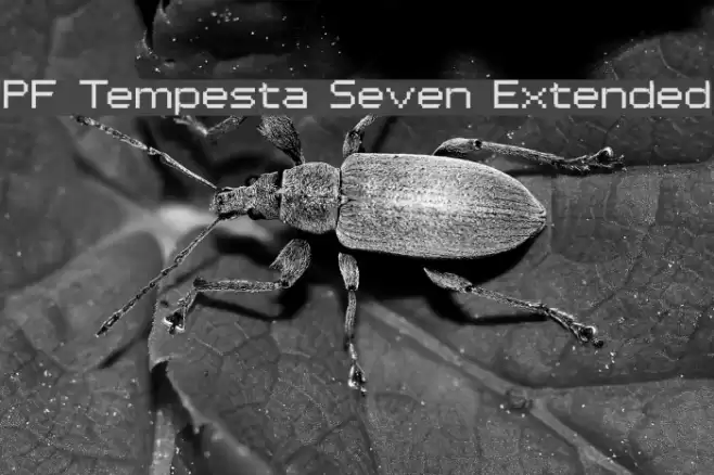 PF Tempesta Seven Extended Font examples