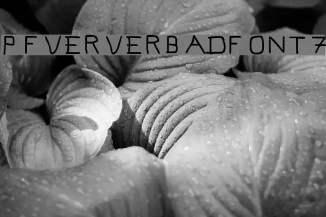 Pf_veryverybadfont7 Font examples