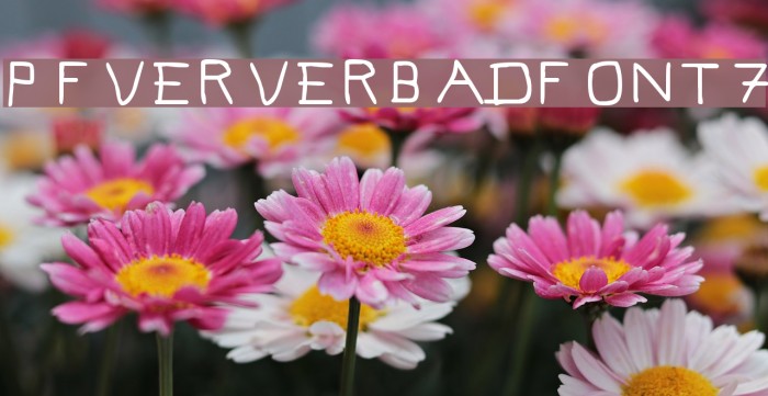 Pf_veryverybadfont7 Font examples