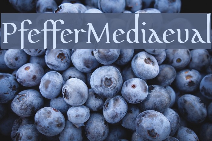 PfefferMediaeval Caratteri examples