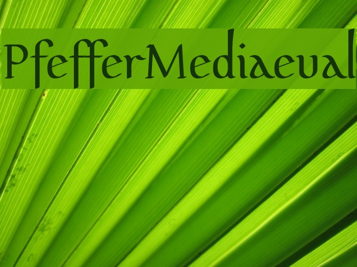 PfefferMediaeval Caratteri examples