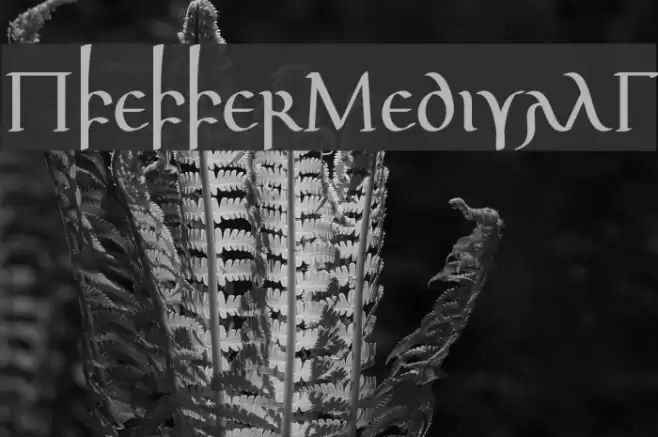 PfefferMedivalG Font examples