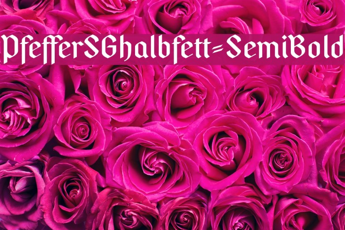 PfefferSGhalbfett-SemiBold Fonte examples