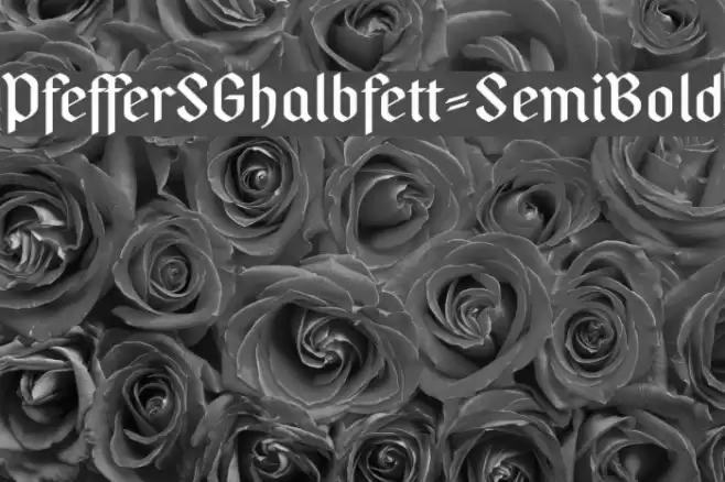 PfefferSGhalbfett-SemiBold Fonte examples