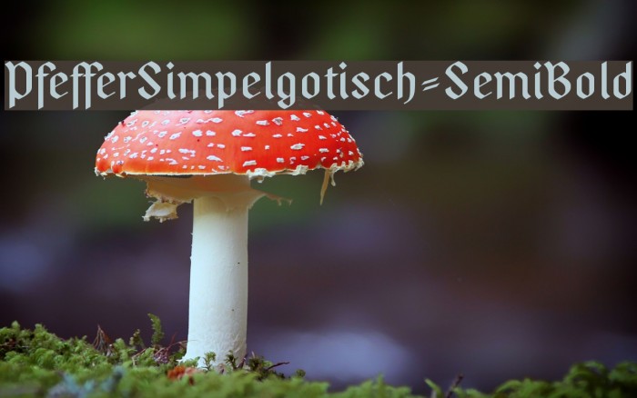 PfefferSimpelgotisch-SemiBold Font examples