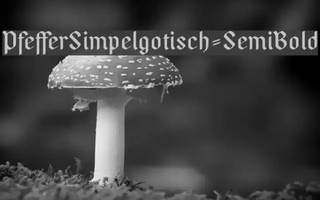 PfefferSimpelgotisch-SemiBold フォント examples