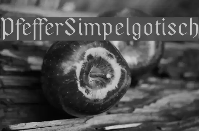 PfefferSimpelgotisch Font examples