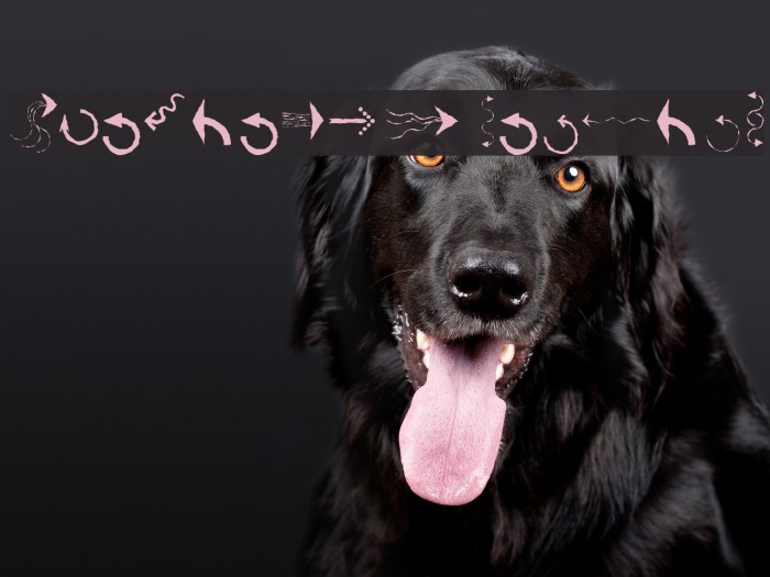 PfeileTwo Regular Font examples