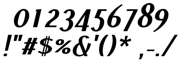 Pfennig Bold Italic Font OTHER CHARS