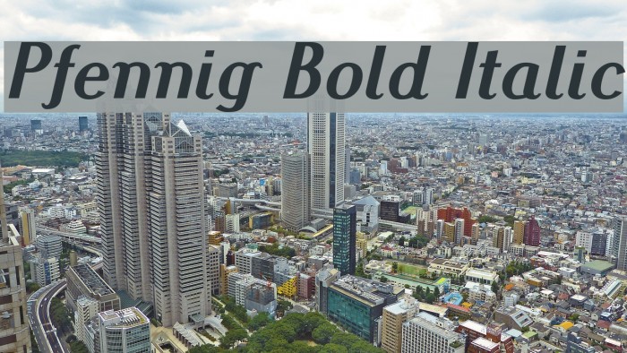Pfennig Bold Italic Font examples