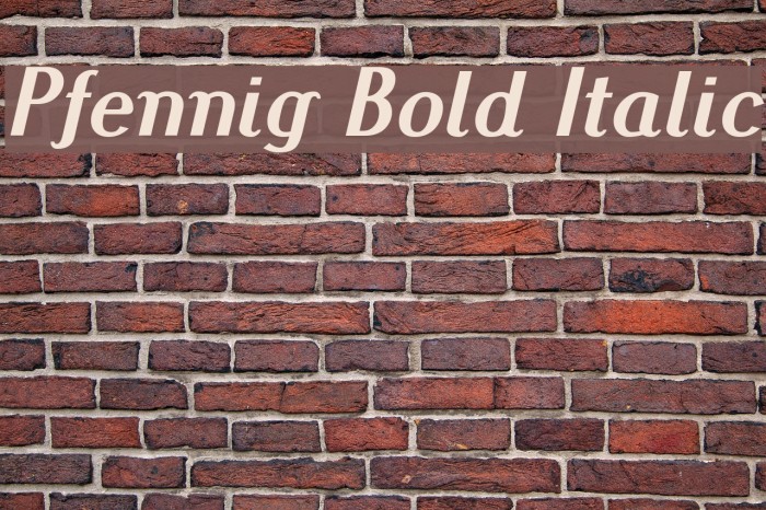 Pfennig Bold Italic Font examples