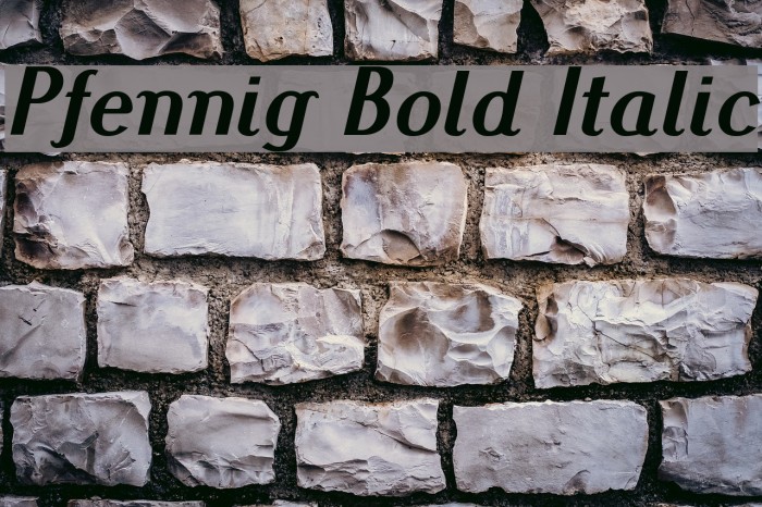Pfennig Bold Italic Font examples