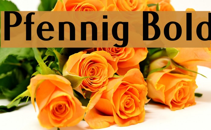 Pfennig Bold Example 1