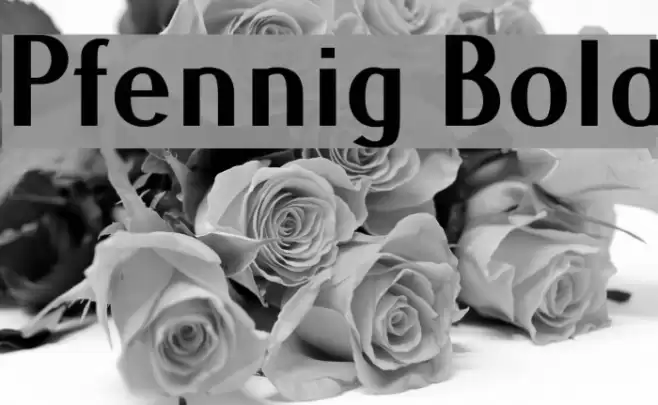 Pfennig Bold Font examples
