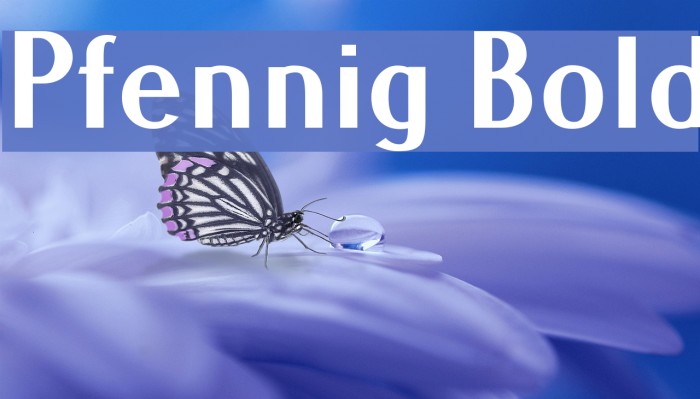 Pfennig Bold Example 3