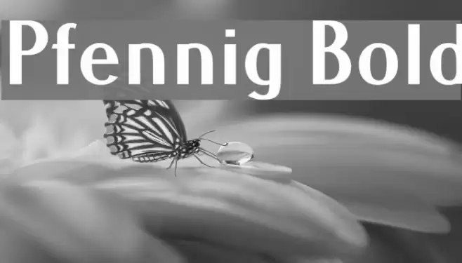 Pfennig Bold Font examples