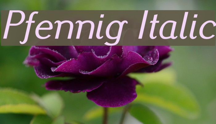 Pfennig Italic Font examples