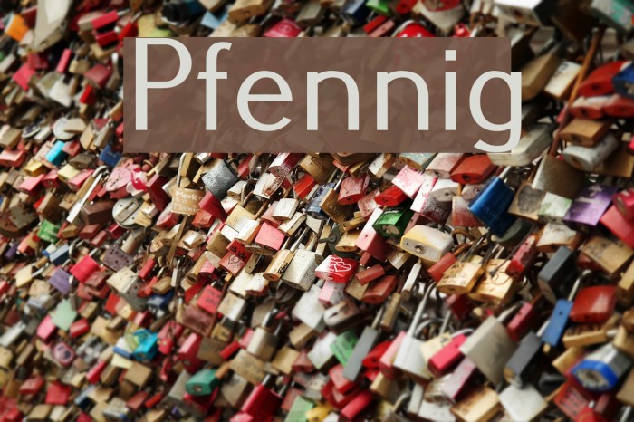 Pfennig Polices examples