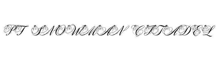 pf_snowman citadel Font