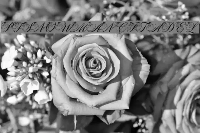 pf_snowman citadel フォント examples