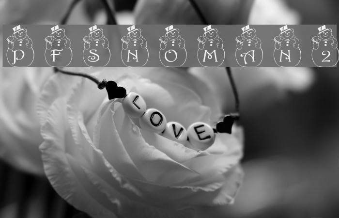 pf_snowman2 Font examples