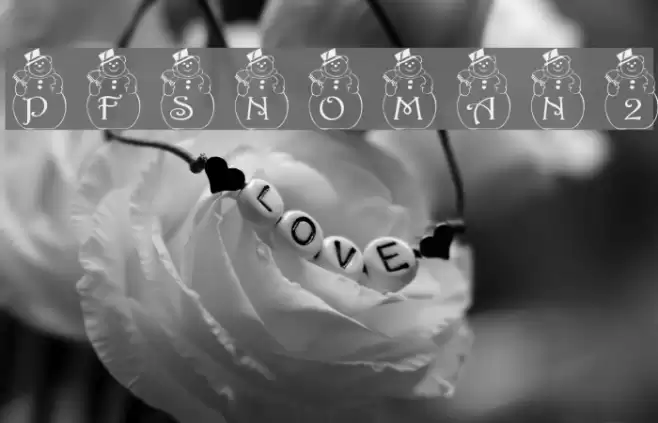 pf_snowman2 フォント examples