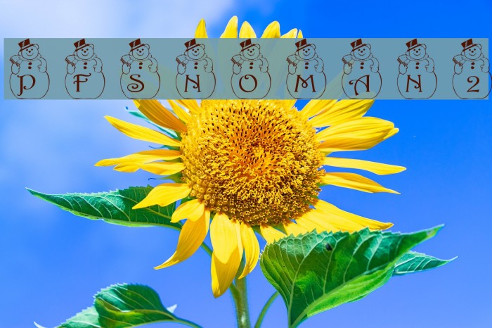 pf_snowman2 Font examples