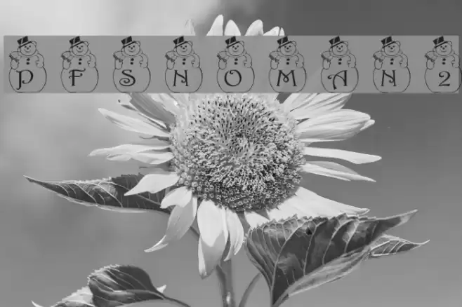 pf_snowman2 フォント examples