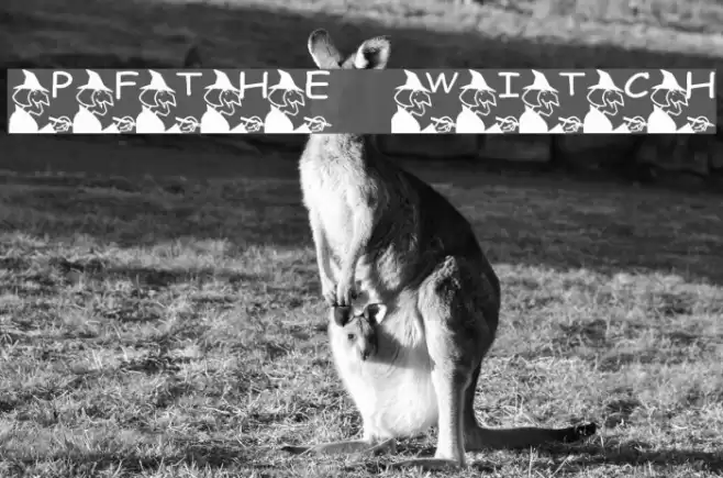 pf_the witch Font examples