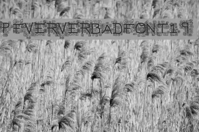 pf_veryverybadfont19 Font examples