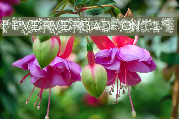pf_veryverybadfont19 Font examples